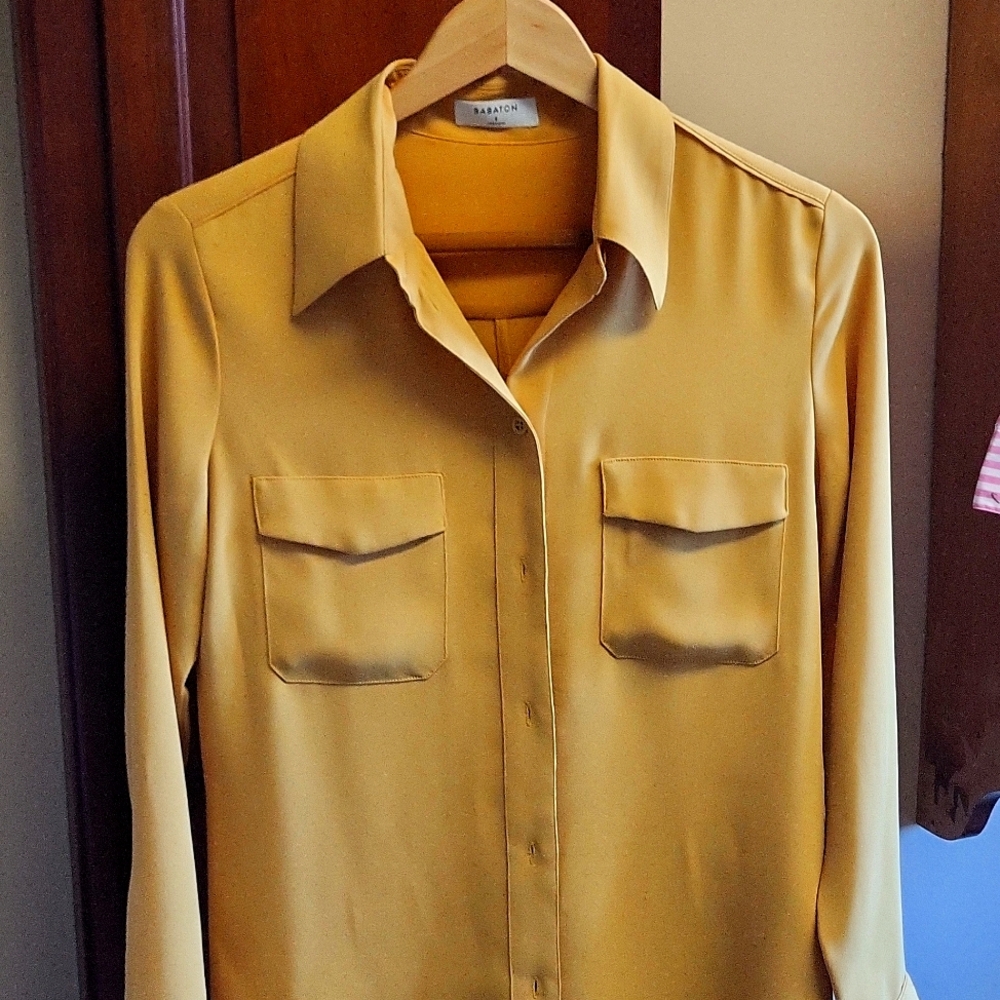 Balaton brand long sleeve shirt. 100% silk